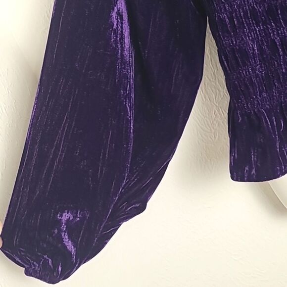 Maurices Purple Velvet Smocked Crop-top, Long Blouson Sleeves, Size Large - Picture 4 of 8